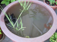 ���������Ă��܂�