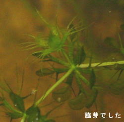 �e��ł���