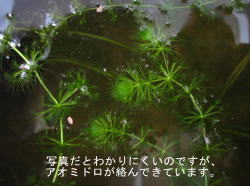 �A�I�~�h�����E�E�E